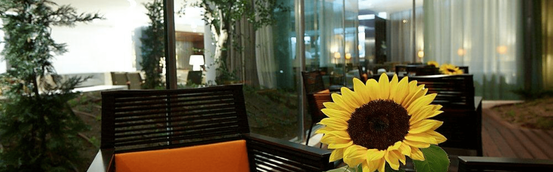 Hotel Santa Maria Fatima Hotel Santa Maria Fatima